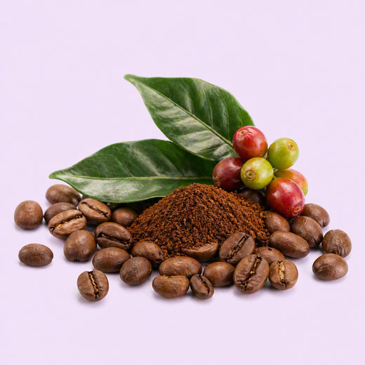 Coffee Extract