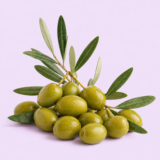 Olive Oil